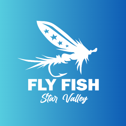 Fly Fish Star Valley