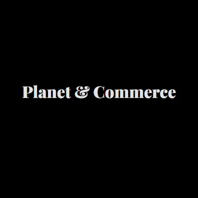 Rupaliyan Techventures and consultancy limited