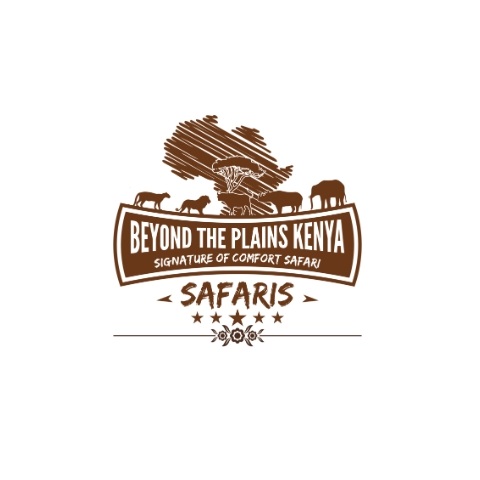 Beyond the plains safaris
